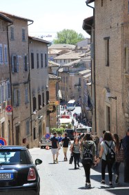 Urbino