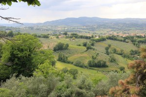 Overlooking the Umbrian Countryside from Montefalco